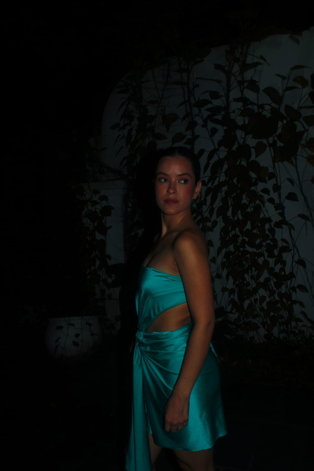 Alondra Dress