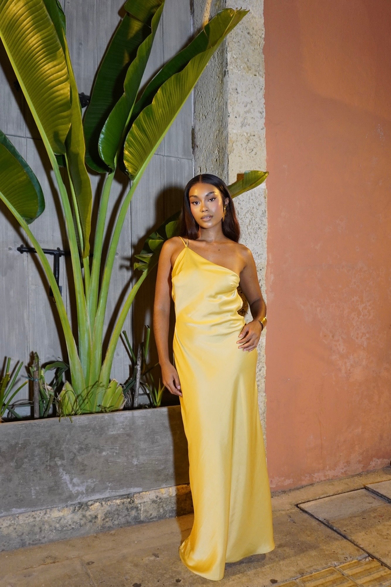 Michelle dress