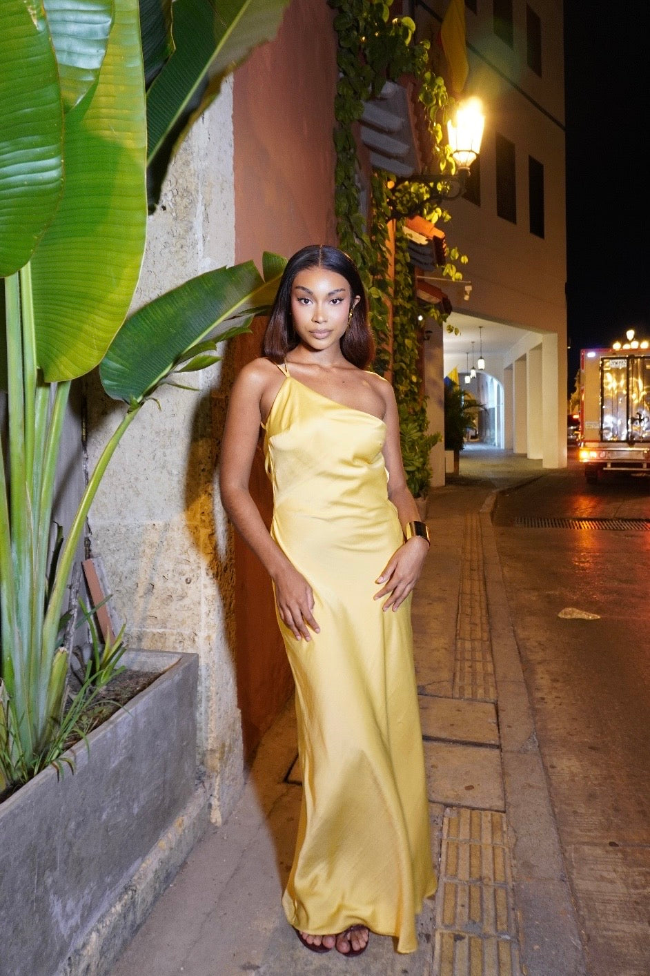 Michelle dress