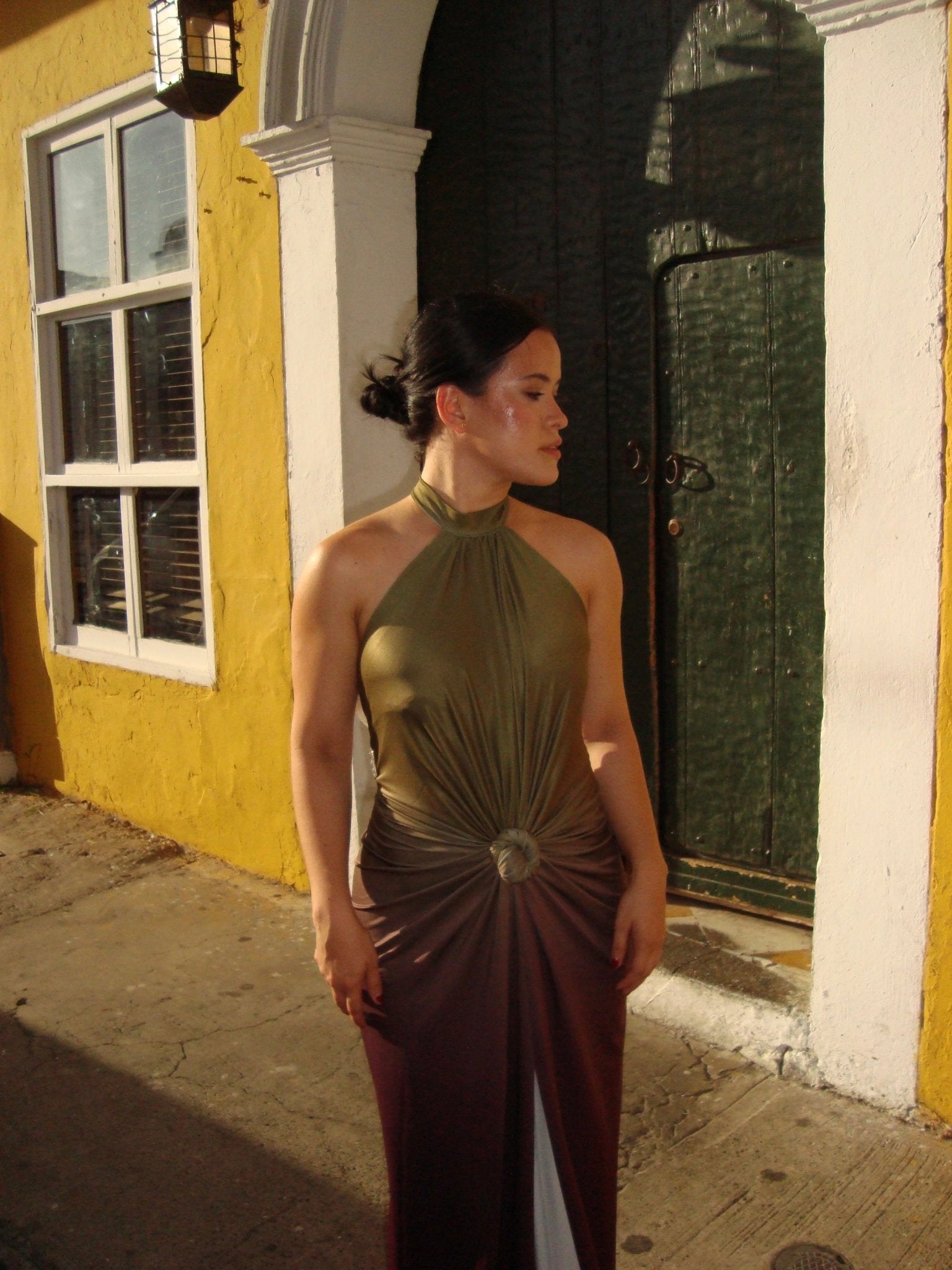 Sharlot dress - Pasarela Rosa